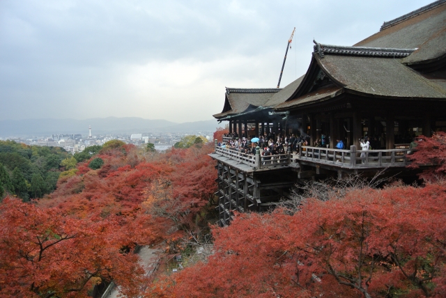 清水の紅葉